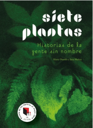 SIETE PLANTAS HISTORIA DE LA GENTE SIN NOMBRE