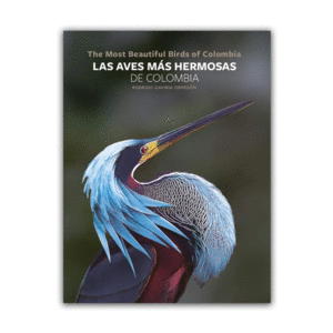 LAS AVES MAS HERMOSAS DE COLOMBIA