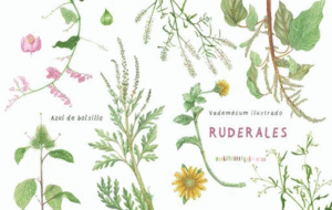 RUDERALES