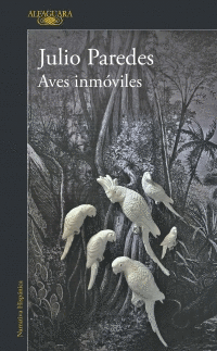 AVES INMOVILES