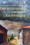 DEL RELAMPAGO NACERAN LUCIERNAGAS