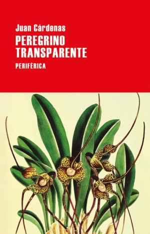 EL PEREGRINO TRANSPARENTE