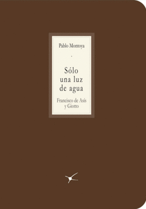 SOLO UNA LUZ DE AGUA