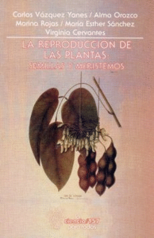LA REPRODUCCIÓN DE LAS PLANTAS:. SEMILLAS Y MERISTEMOS